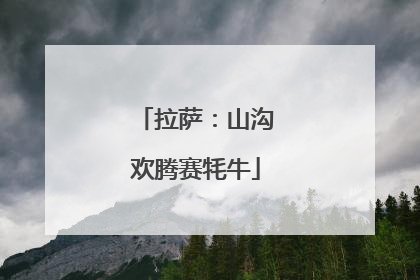 拉萨：山沟欢腾赛牦牛