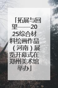 拓展与回望——2025综合材料绘画作品（河南）展览开幕式在郑州美术馆举办