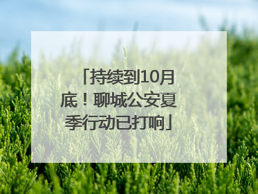 持续到10月底！聊城公安夏季行动已打响