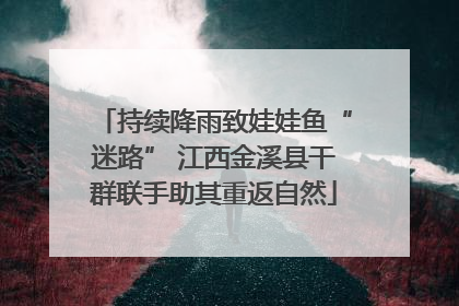 持续降雨致娃娃鱼“迷路” 江西金溪县干群联手助其重返自然