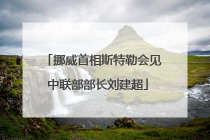 挪威首相斯特勒会见中联部部长刘建超