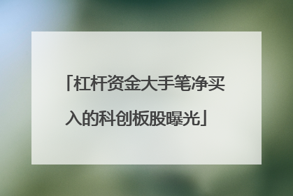 杠杆资金大手笔净买入的科创板股曝光