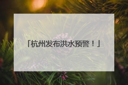 杭州发布洪水预警！