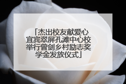 杰出校友献爱心 宜宾翠屏孔滩中心校举行曾剑乡村励志奖学金发放仪式