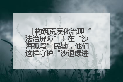 构筑荒漠化治理“法治屏障”！在“沙海孤岛”民勤，他们这样守护“沙退绿进”的生态奇迹