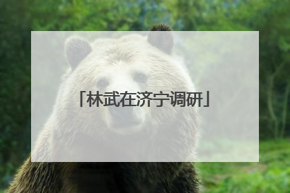 林武在济宁调研