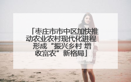 枣庄市市中区加快推动农业农村现代化进程 形成“振兴乡村 增收富农”新格局