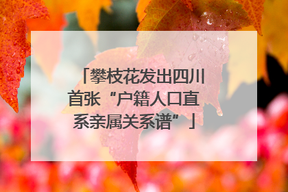攀枝花发出四川首张“户籍人口直系亲属关系谱”