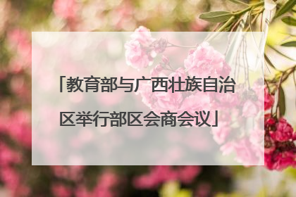 教育部与广西壮族自治区举行部区会商会议