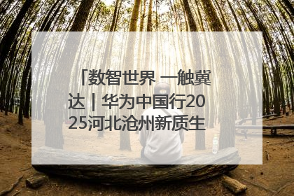 数智世界 一触冀达｜华为中国行2025河北沧州新质生产力峰会成功举办