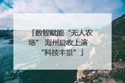 数智赋能“无人农场” 海州夏收上演“科技丰景”