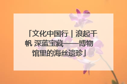 文化中国行｜浪起千帆 深蓝宝藏——博物馆里的海丝遗珍