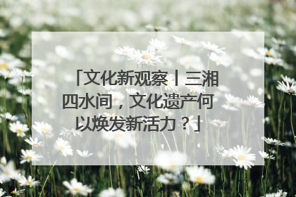 文化新观察丨三湘四水间，文化遗产何以焕发新活力？