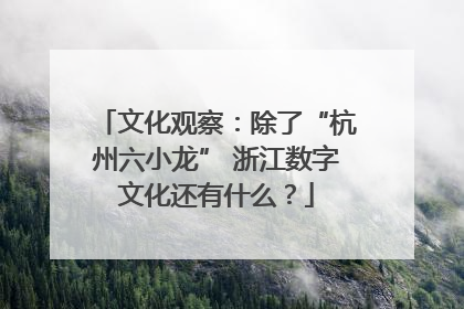 文化观察：除了“杭州六小龙” 浙江数字文化还有什么？