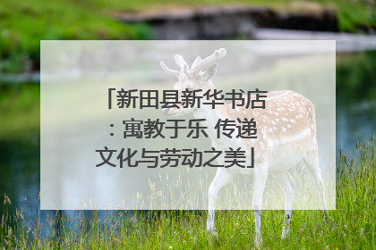 新田县新华书店：寓教于乐 传递文化与劳动之美