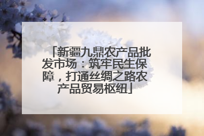 新疆九鼎农产品批发市场：筑牢民生保障，打通丝绸之路农产品贸易枢纽