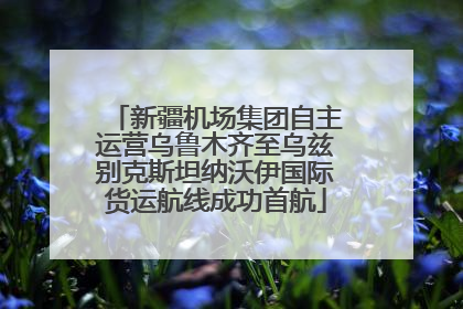 新疆机场集团自主运营乌鲁木齐至乌兹别克斯坦纳沃伊国际货运航线成功首航