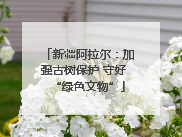 新疆阿拉尔：加强古树保护 守好“绿色文物”