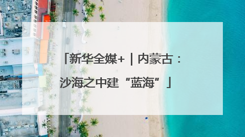 新华全媒+｜内蒙古：沙海之中建“蓝海”
