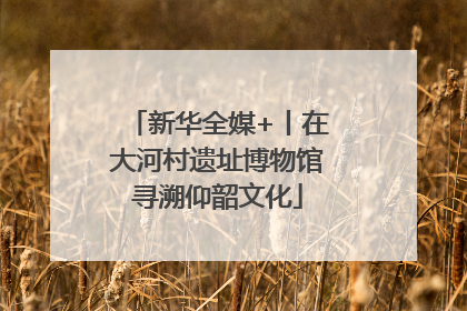 新华全媒+丨在大河村遗址博物馆寻溯仰韶文化