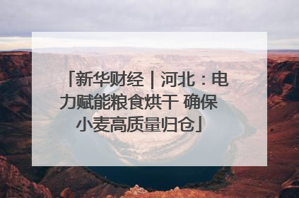 新华财经｜河北：电力赋能粮食烘干 确保小麦高质量归仓
