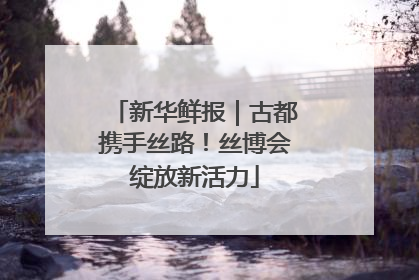 新华鲜报｜古都携手丝路！丝博会绽放新活力