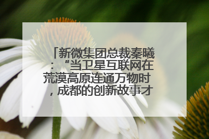 新微集团总裁秦曦：“当卫星互联网在荒漠高原连通万物时，成都的创新故事才真正开始”