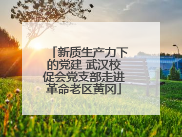 新质生产力下的党建 武汉校促会党支部走进革命老区黄冈