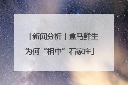 新闻分析丨盒马鲜生为何“相中”石家庄