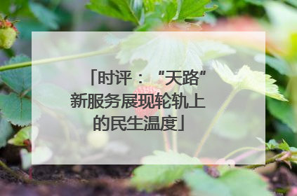 时评：“天路”新服务展现轮轨上的民生温度