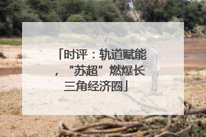 时评：轨道赋能，“苏超”燃爆长三角经济圈