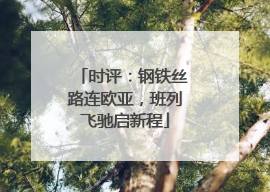 时评：钢铁丝路连欧亚，班列飞驰启新程