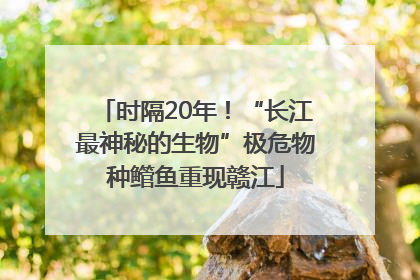 时隔20年！“长江最神秘的生物”极危物种鳤鱼重现赣江