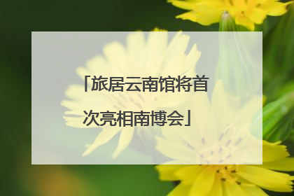 旅居云南馆将首次亮相南博会