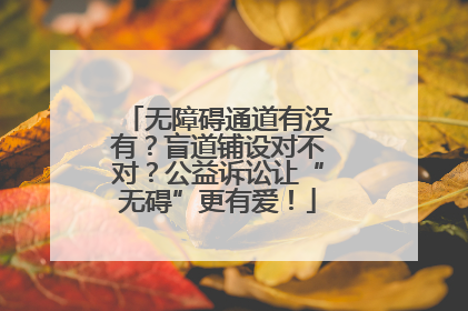 无障碍通道有没有？盲道铺设对不对？公益诉讼让“无碍”更有爱！