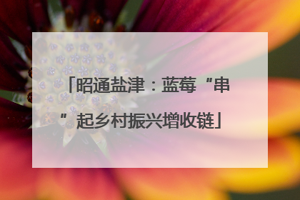 昭通盐津：蓝莓“串”起乡村振兴增收链