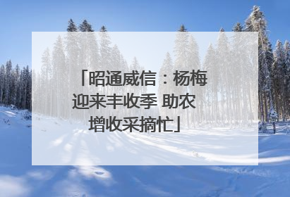 昭通威信：杨梅迎来丰收季 助农增收采摘忙