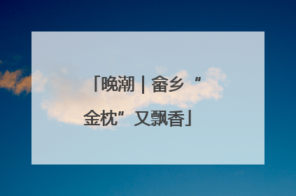 晚潮｜畲乡“金枕”又飘香