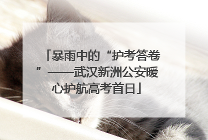 暴雨中的“护考答卷”——武汉新洲公安暖心护航高考首日