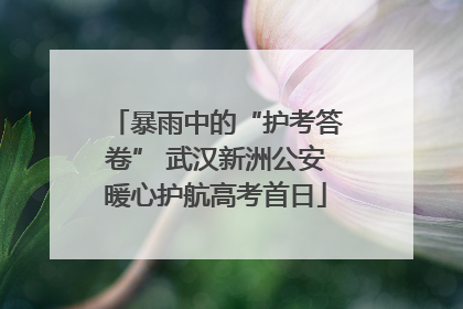 暴雨中的“护考答卷” 武汉新洲公安暖心护航高考首日