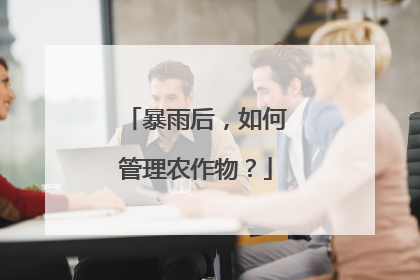 暴雨后，如何管理农作物？