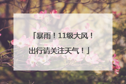 暴雨！11级大风！出行请关注天气！