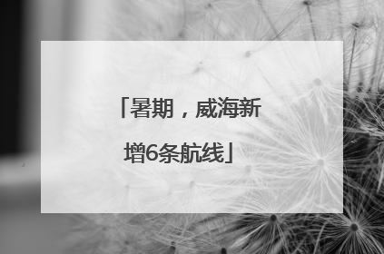 暑期，威海新增6条航线