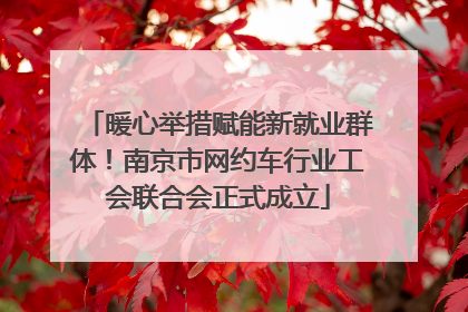 暖心举措赋能新就业群体！南京市网约车行业工会联合会正式成立