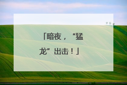暗夜，“猛龙”出击！