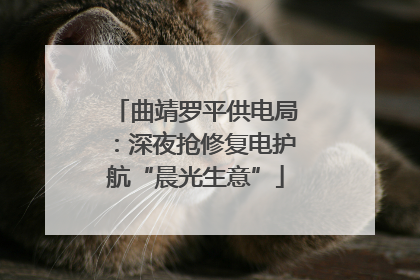 曲靖罗平供电局：深夜抢修复电护航“晨光生意”