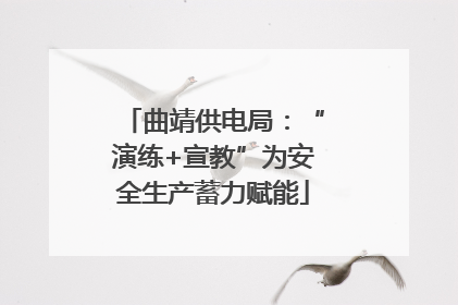 曲靖供电局：“演练+宣教”为安全生产蓄力赋能