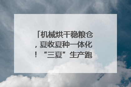 机械烘干稳粮仓，夏收夏种一体化！“三夏”生产跑出加速度｜麦报