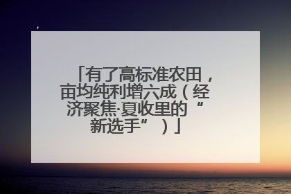 有了高标准农田，亩均纯利增六成（经济聚焦·夏收里的“新选手”）