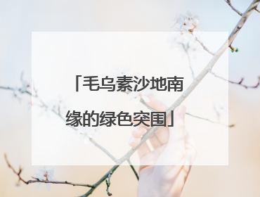 毛乌素沙地南缘的绿色突围